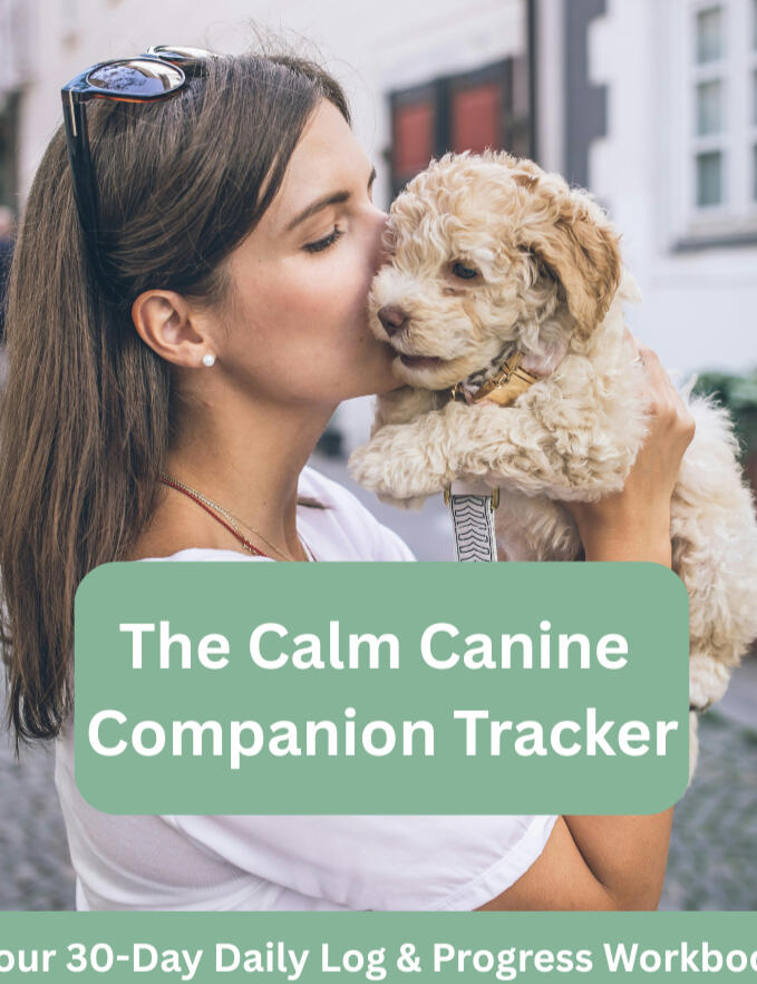 Heal your dog naturally through food - $37